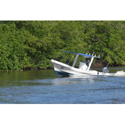 Estero tour